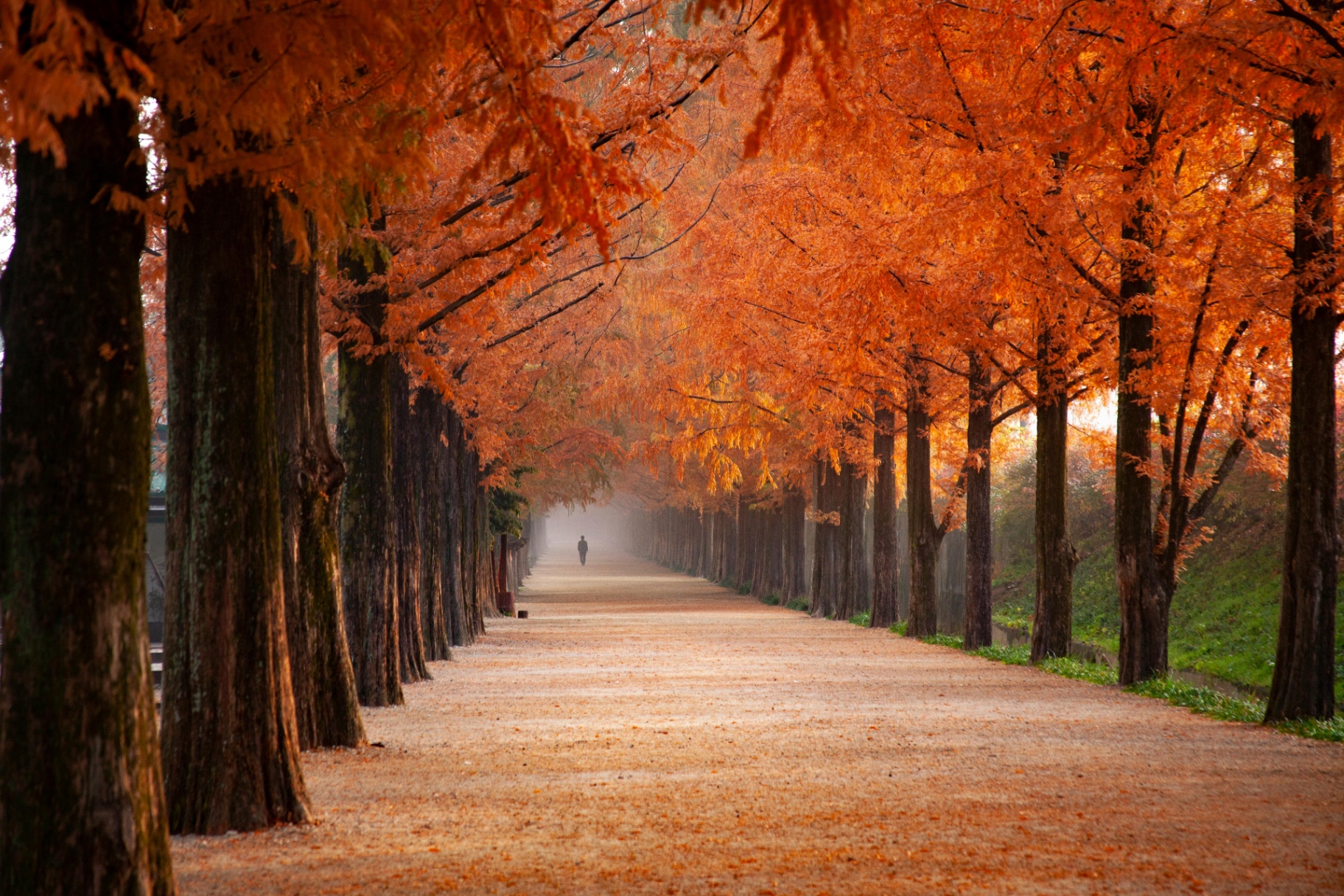 Autumn Corridor by Gallerya Community