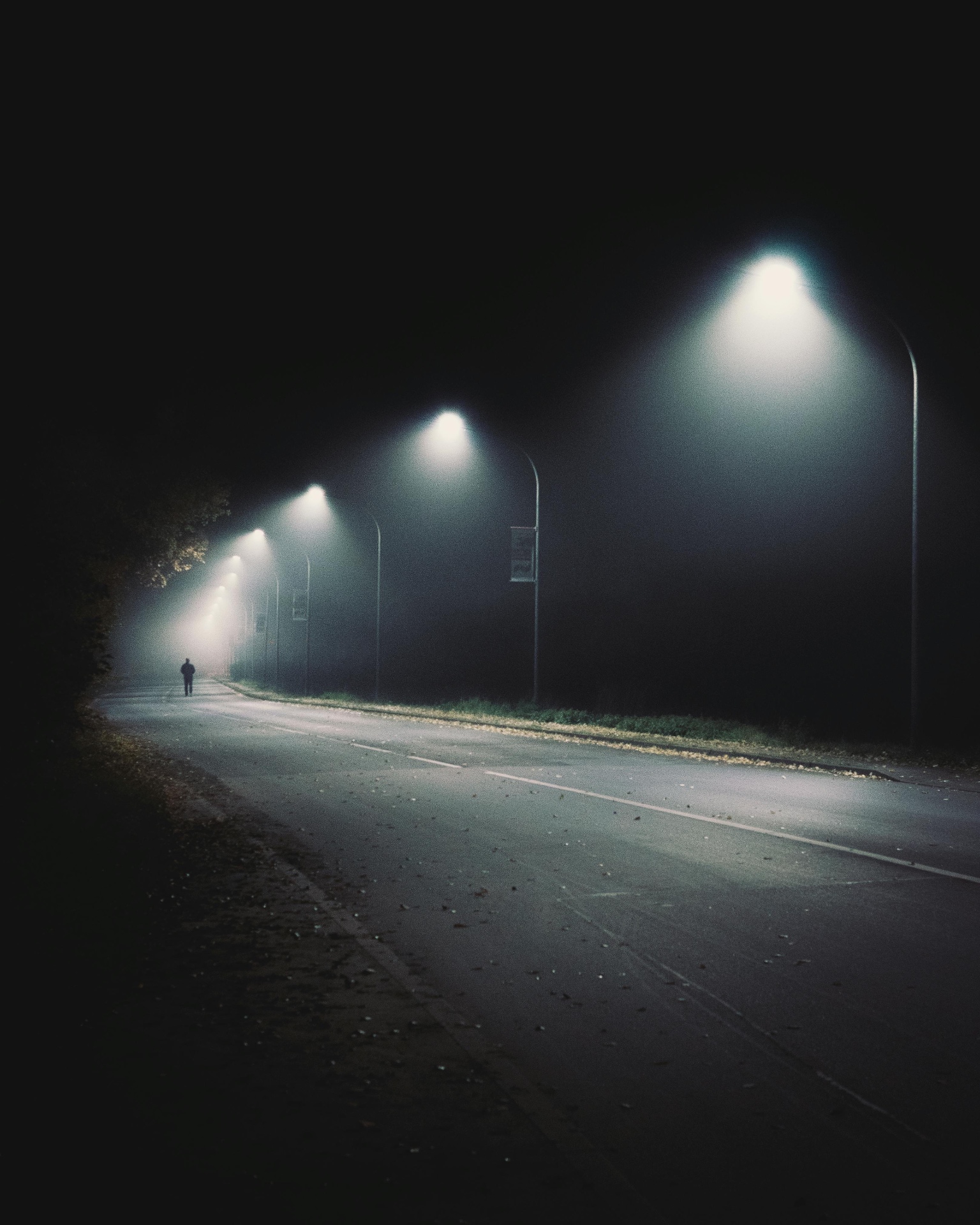 Night Walk by Gallerya Community