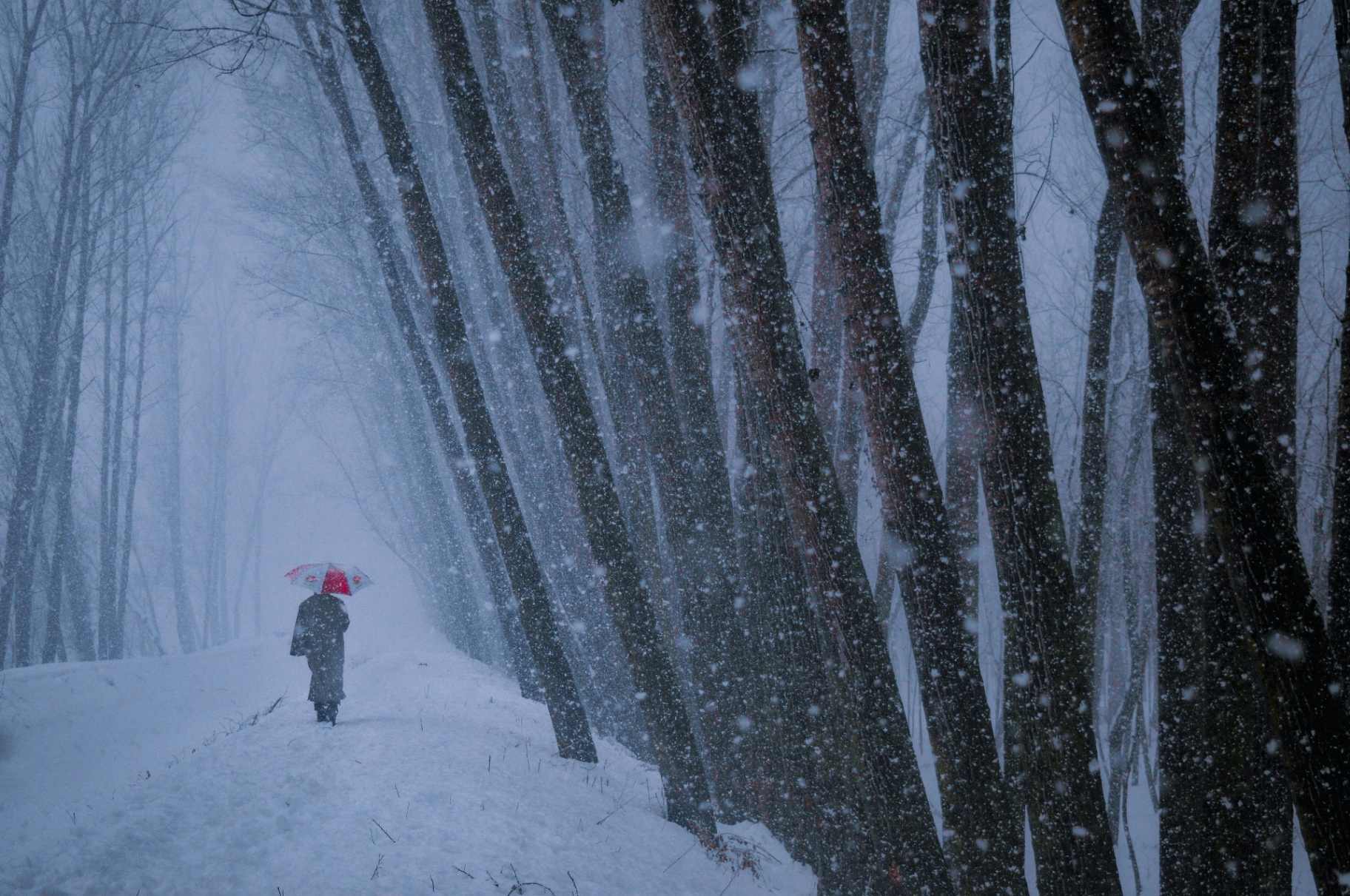 Snow Passage by Gallerya Community