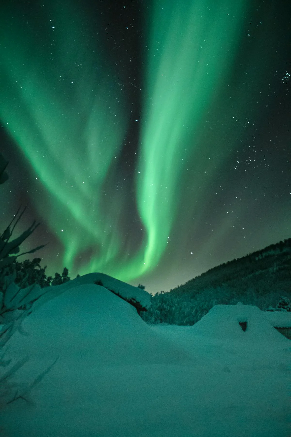 Aurora Over Lapland Snow by Gallerya Community