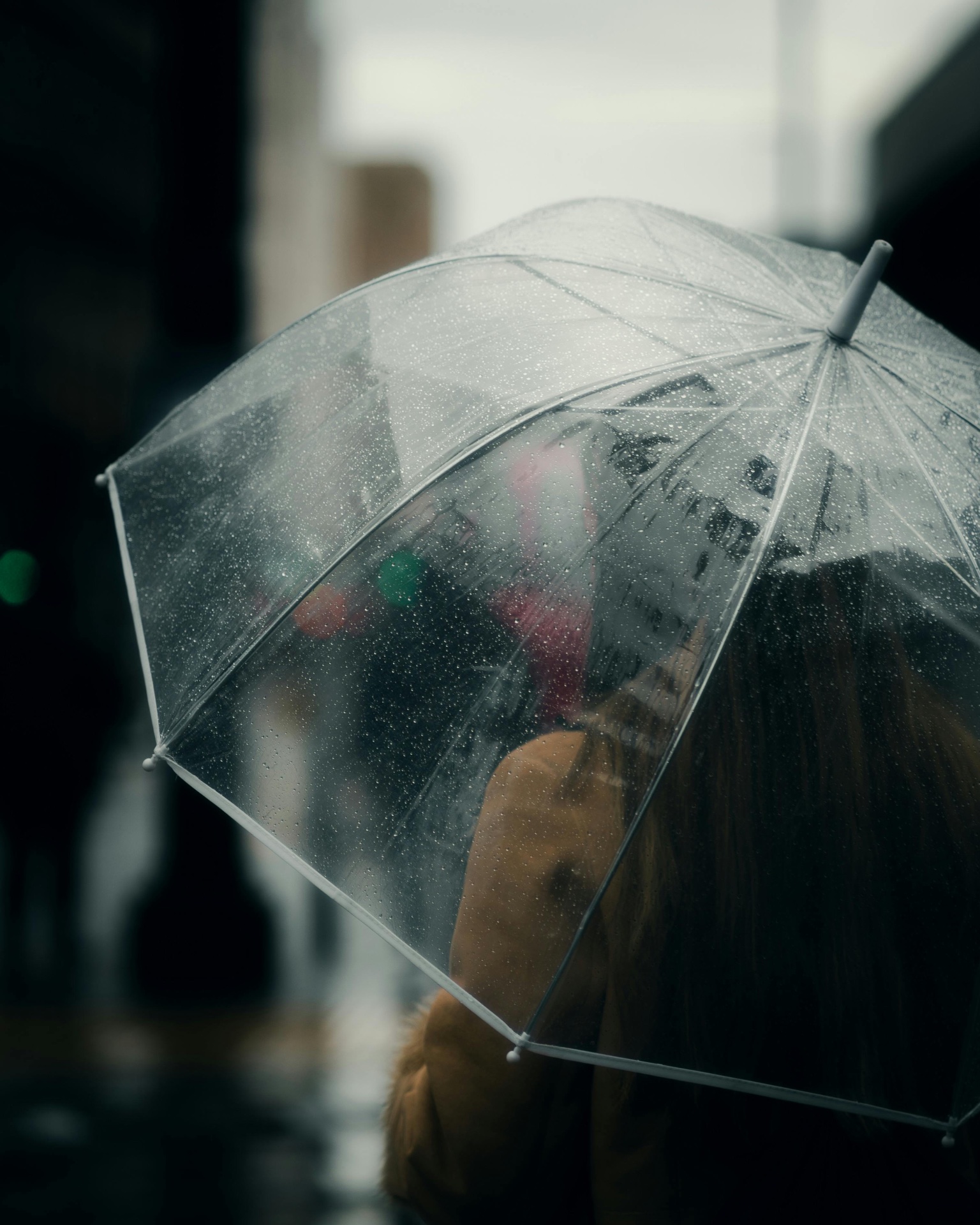 Under a Clear Umbrella by Gallerya Community