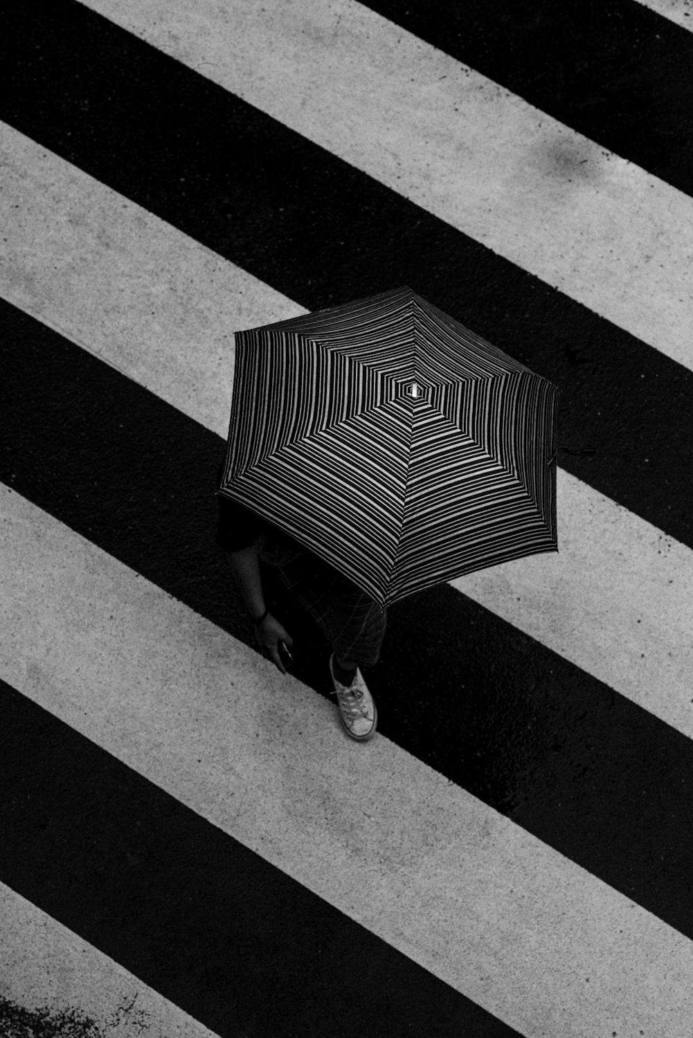 Stripes Within Stripes by Gallerya Community