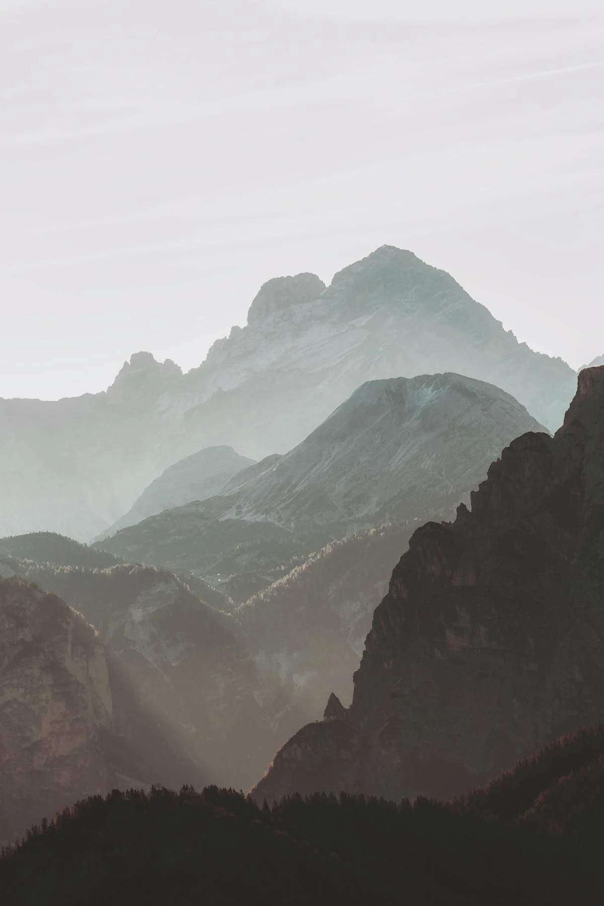 Ridges Folded Into Memory by Gallerya Community