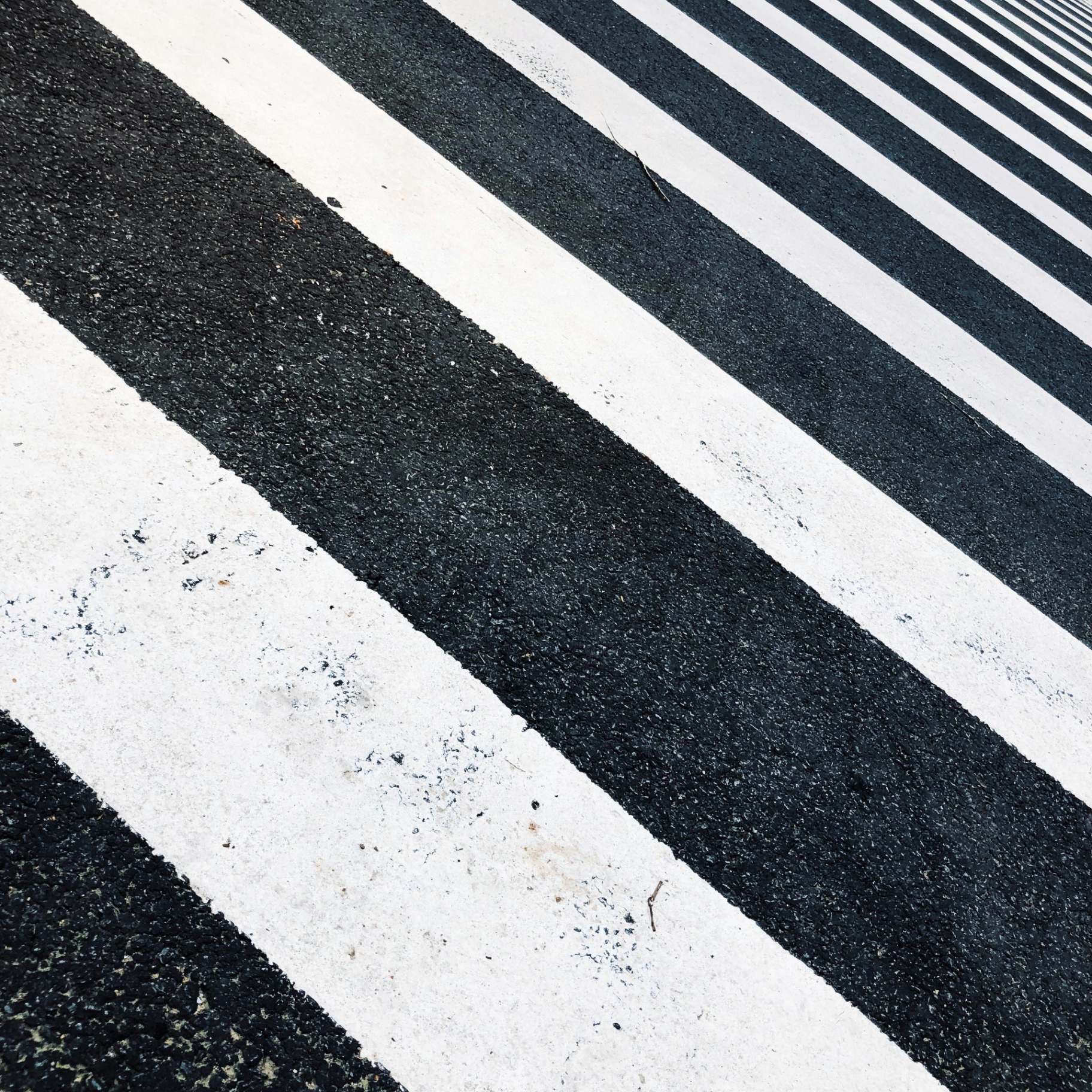 The Geometry of Crossing by Gallerya Community