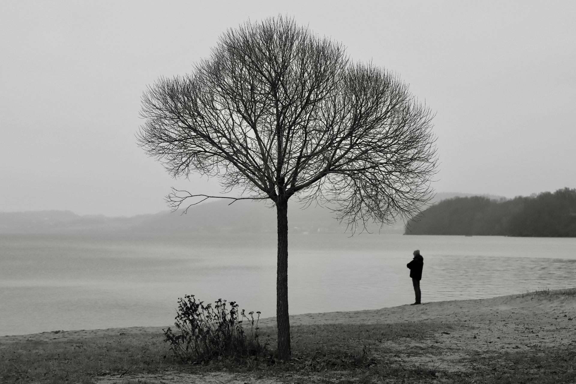 Quiet Shore Figure by Gallerya Community