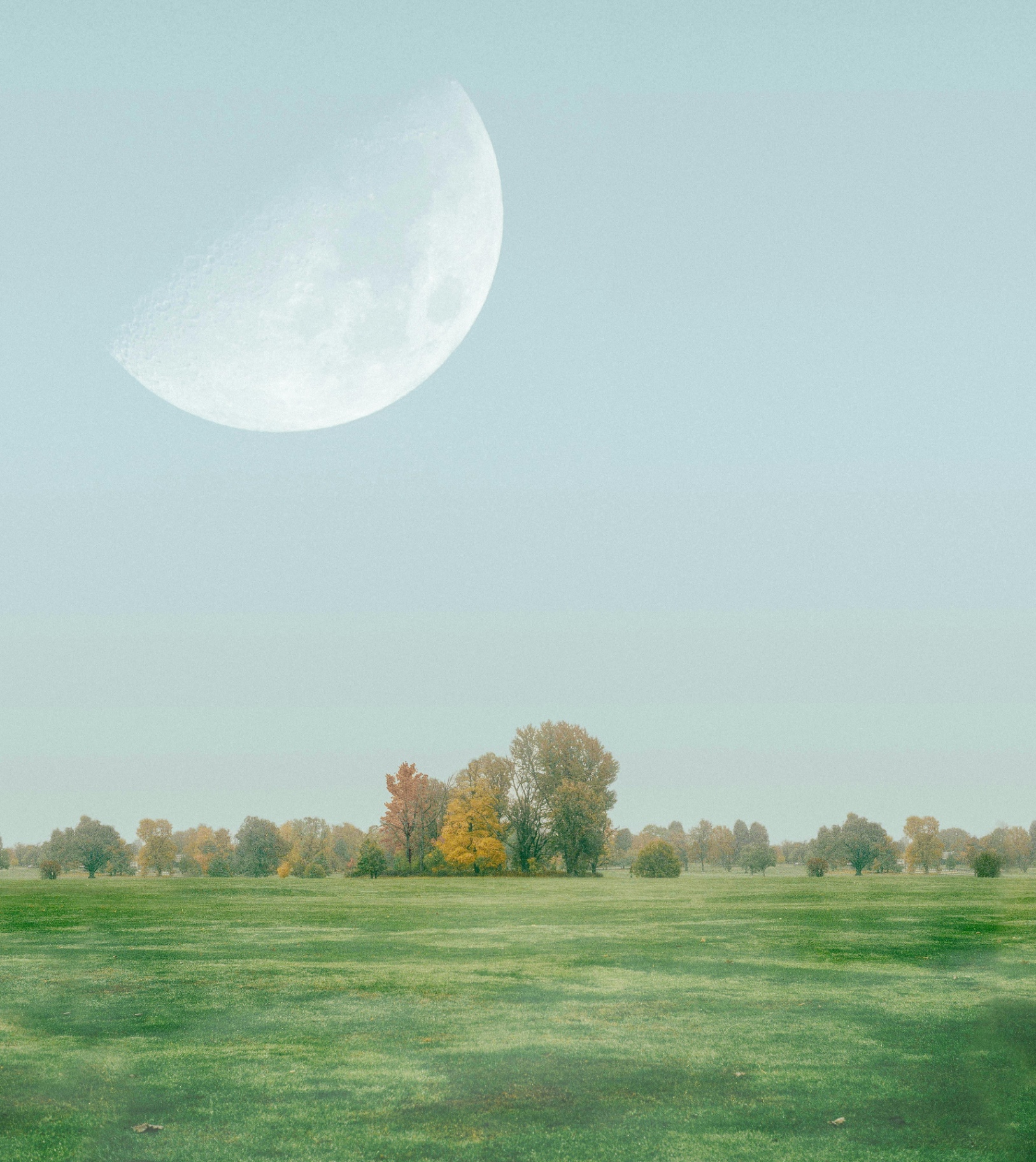 Daylight Moon Over the Field by Gallerya Community