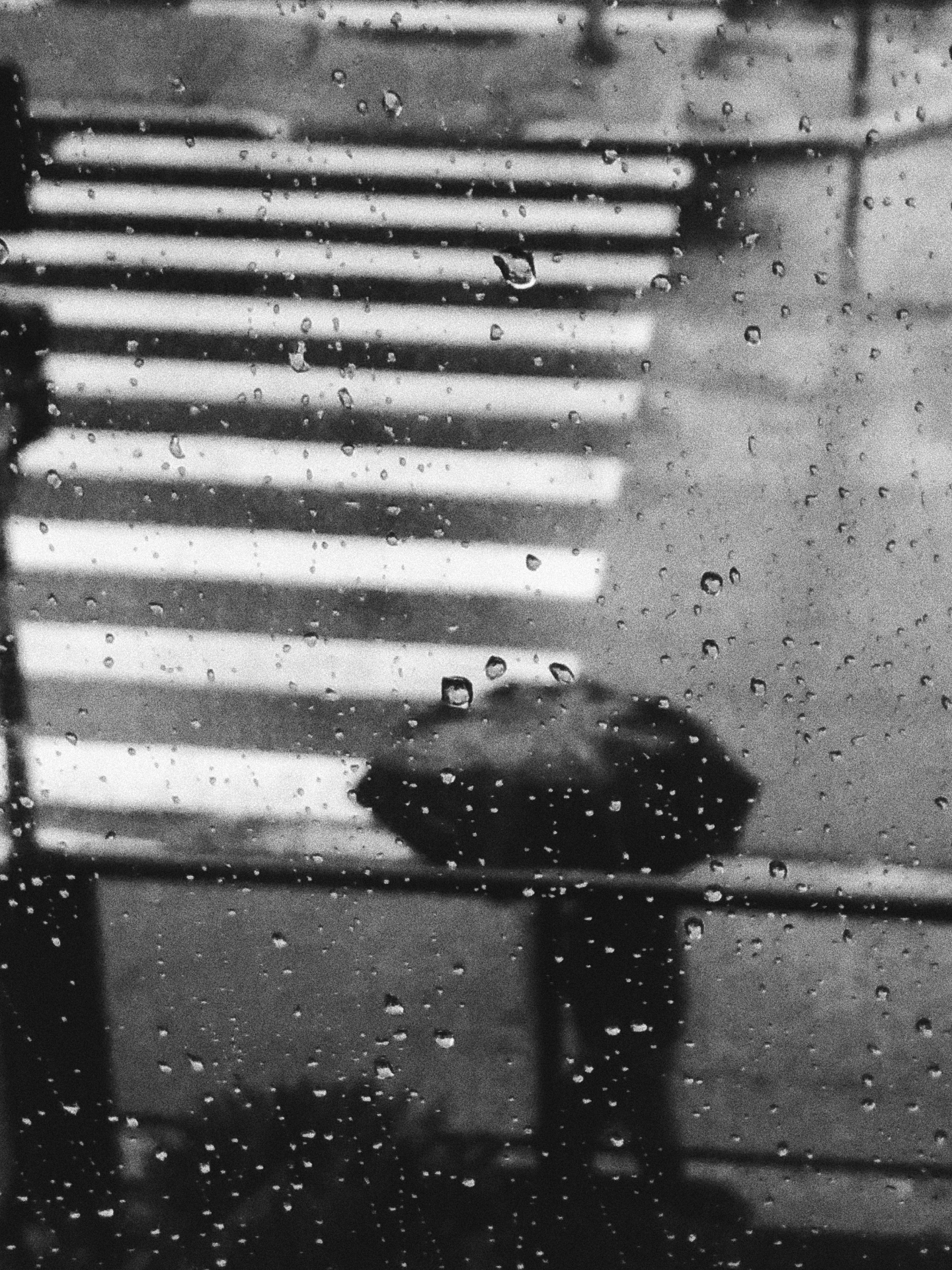Crossing, Through Rain by Gallerya Community
