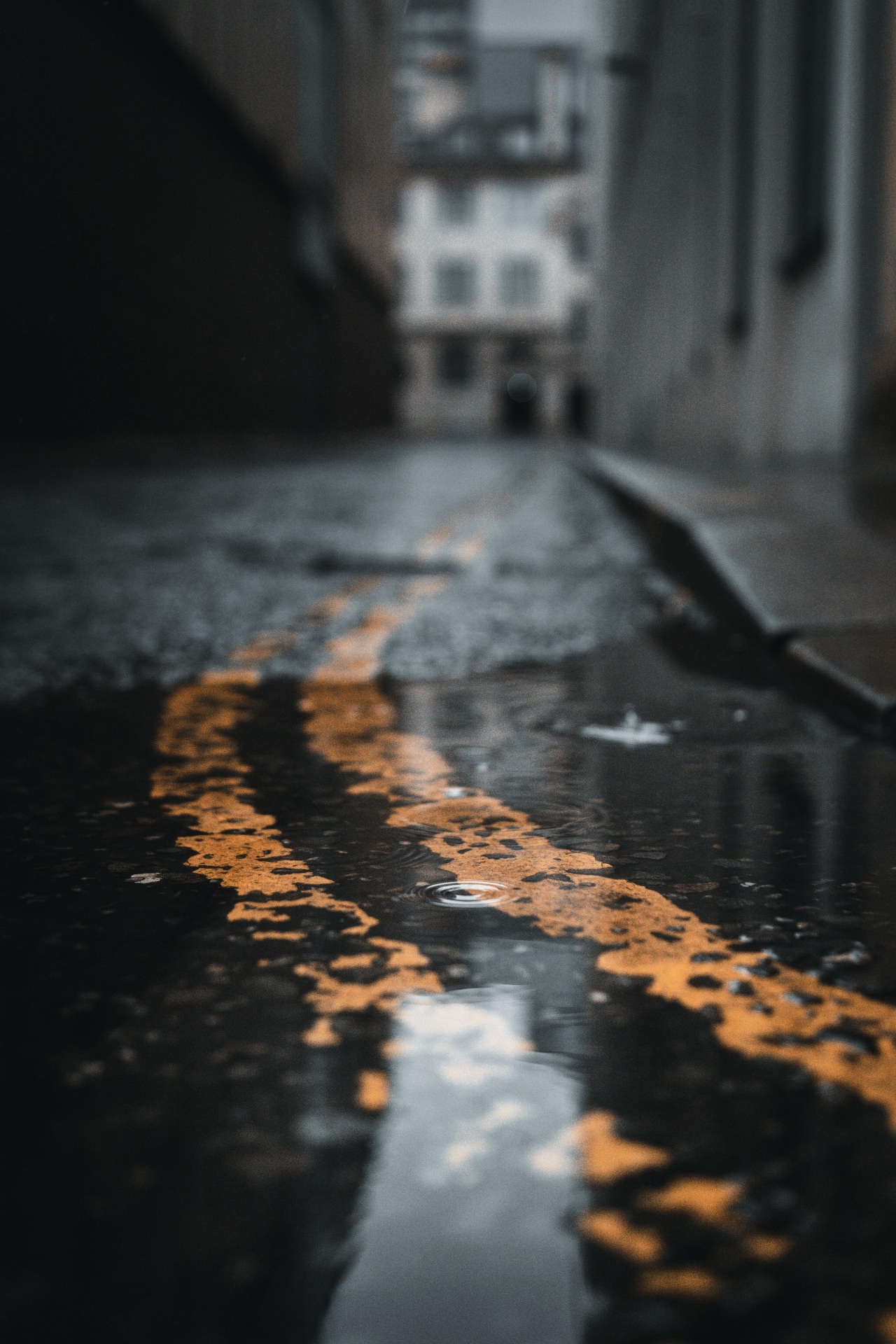 Yellow Line, Wet Street by Gallerya Community