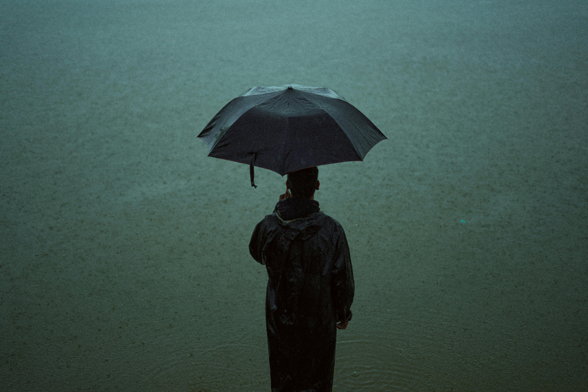Stillness in the Storm by Gallerya Community
